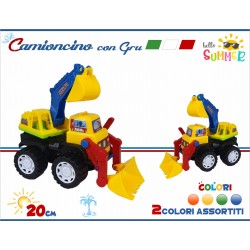 CAMION PALA CON GRU